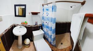阿约拉港Hotel Crossman的一间带水槽、卫生间和淋浴的浴室
