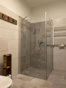 罗斯托克Hofquartier的浴室里设有玻璃门淋浴