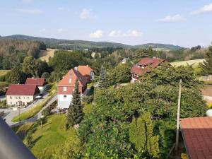 塞布尼茨Schöne und ruhige Ferienwohnung in Ottendorf的享有村庄的空中景致,拥有房屋和树木