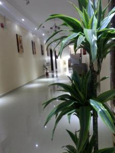 塞卡凯Lara Al Jawf Hotel Apartments的建筑物内种植植物的走廊
