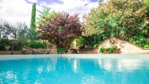 斯佩洛Villamena的拥有蓝色海水和树木的游泳池