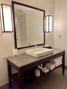 杰克逊卡尔森杰克逊江山旅馆 的一间带水槽和大镜子的浴室