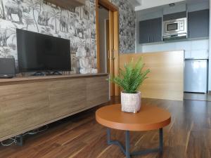 奥利瓦Lujoso apartamento en Oliva的客厅配有电视和植物桌子