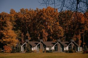 乌曼岛Телячі Ніжності的秋天的房屋,有树在后面