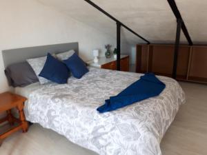阿瓜杜尔塞Mamen loft的一间卧室配有一张带蓝色枕头的床。