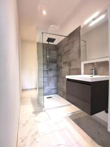 伊泽尔Lovely T2 - Proche du CHU LIMOGES的一间带玻璃淋浴和水槽的浴室