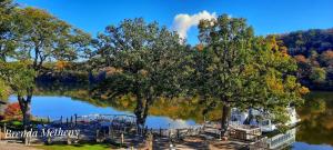 Oregon桨轮酒店的享有树木和船只的湖泊美景