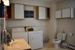 AdrianCozy 2nd story Flat near downtown的小型浴室设有洗衣机和水槽。