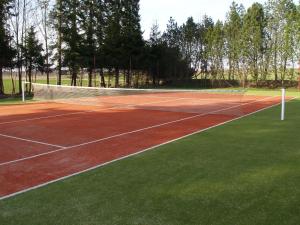 ÄnkkülaMokko Saunahouse的一座带网和一些树木的网球场