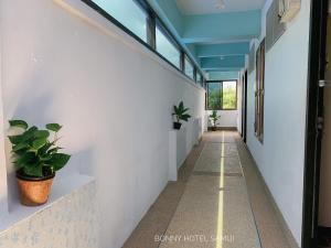 拉迈邦尼酒店的墙上挂有植物的走廊