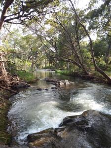 侯斯普瑞特Blyde River Cabins的一条有岩石和树木的水流