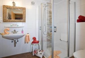 拉姆莫特兹格瑞尔斯杜伯旅社的带淋浴和盥洗盆的浴室