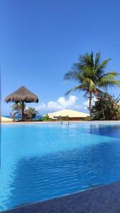 祖姆比Condomínio Encantador Piscina e Praia E12的一座棕榈树环绕的大型游泳池