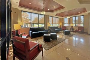 奥古斯塔Comfort Suites Augusta Riverwatch的带沙发和椅子的客厅以及窗户。