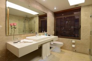 圣地亚哥圣地亚哥洲际酒店的一间带水槽、卫生间和镜子的浴室