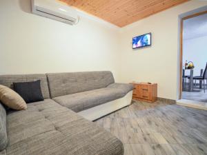 拉扎尼Holiday Home Snježana by Interhome的带沙发和电视的客厅