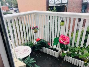 埃尔姆斯霍恩TS Monteurzimmer的阳台上的白色栏杆上摆放着鲜花和椅子