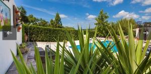 Sant JoanCan tronca的享有绿色植物游泳池的景色