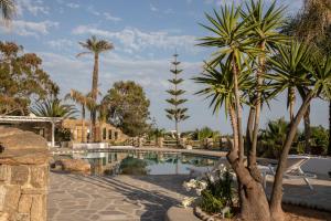 米克诺斯城Villa Ker by Ethos Hospitality- 5 Bedrooms的度假村内棕榈树游泳池