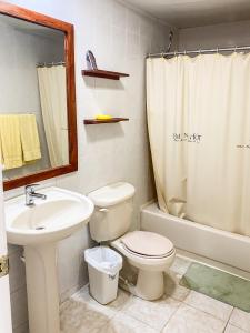El LimónLUTIX HOTELS的浴室配有卫生间、盥洗盆和淋浴。