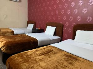 开罗Kerotel Egypt的一间酒店客房,房间内设有三张床