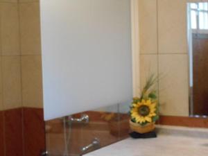 卡夫尔高原L'ESTAGNON的花瓶,向日葵坐在浴室的柜台上
