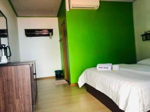 停泊岛suhaila 宫的一张床位的房间里,绿色的墙壁