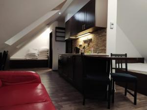 哈拉霍夫Hvězda Apartments的一间带红色沙发的客厅和一间厨房