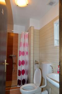 UdbinaGuesthouse Pink Panther的一间带卫生间和淋浴帘的浴室