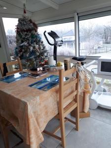 蒙沙南Le relais du TGV的房间里的一张桌子上挂着圣诞树