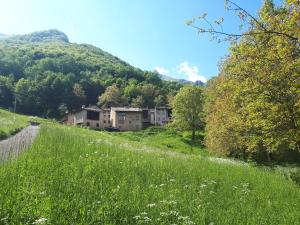 PosinaCasa di Bagattini的山丘上一片草场,有房子