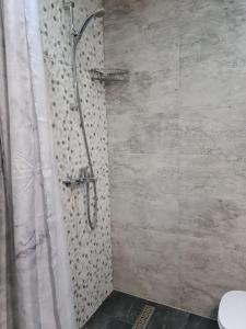 大特尔诺沃Апартамент (Студио) Тони的浴室内配有淋浴帘。
