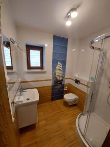 伊拉华Apartamenty Kapitanskie的一间带水槽、卫生间和淋浴的浴室
