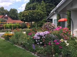 Villa "Auszeit"外面的花园
