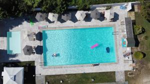 斯达林苏珊酒店的大型游泳池的顶部景色,里面的人