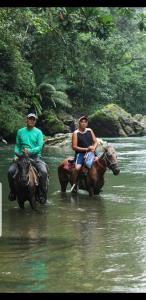 波托韦洛Rainforest Lodge del Rio的相册照片