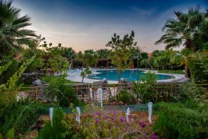 布赖代فندق لاجونا ڤيستا بريدة的棕榈树和鲜花度假村内的游泳池