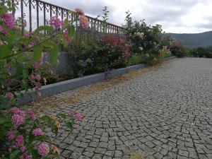 阿威罗Abrigo das Andorinhas的鲜花和围栏的花园