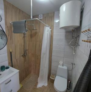 Tyrawa WołoskaDomek Zacisze Gór Słonnych的带淋浴、卫生间和盥洗盆的浴室