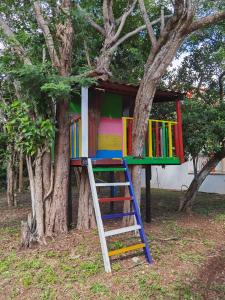 科苏梅尔Paradise Ranch的树上带梯子的彩虹彩绘树屋
