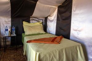 Atta Desert Camp客房内的一张或多张床位