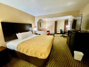 派恩布拉夫Quality Inn & Suites Pine Bluff AR的酒店客房设有一张大床和一台电视。