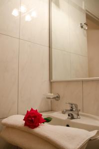 奈德里阿索斯酒店的浴室设有水槽,毛巾上放着红花