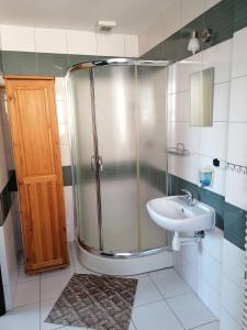 赫鲁别舒夫RESTAURACJA & PENSJONAT SZAMANKO的带淋浴和盥洗盆的浴室