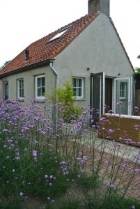 纽南De Heerlykheid的前面有紫色花的房屋