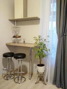 利沃夫Comfortable modern apartment的植物间里一张桌子和两张凳子