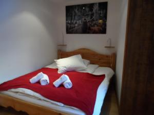 Prachtig familie appartement voor 6 personen in het hart van Argentière, Chamonix Mont-Blanc客房内的一张或多张床位