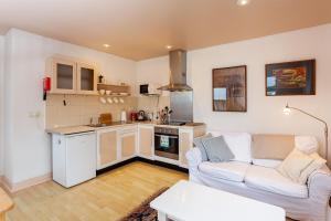 巴尔的摩Tidewater Apartment 1Bed的带沙发的客厅和厨房