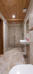 Hlucov - Penzion & Restaurace -的一间浴室