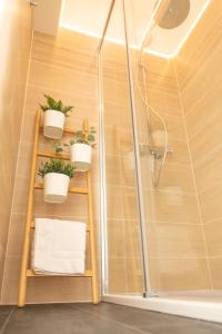 茹瓦尼Sweet Aulne的浴室内架上盆栽的淋浴